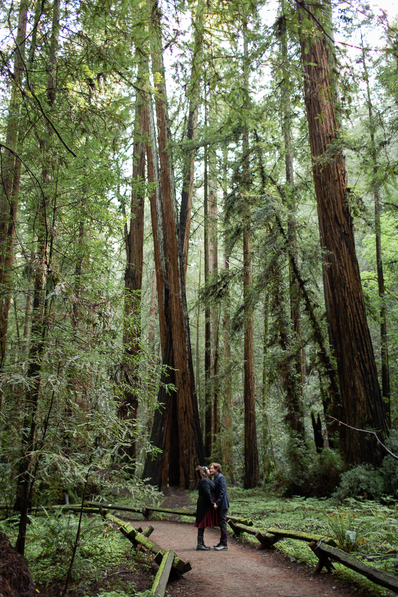 Armstrong Woods Engagement Photos Guerneville-8.jpg