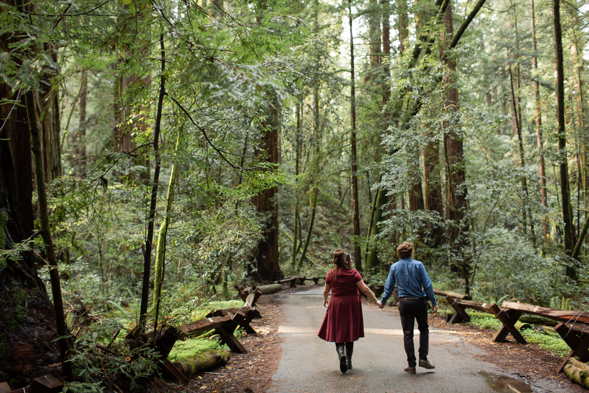 Armstrong Woods Engagement Photos Guerneville-15.jpg