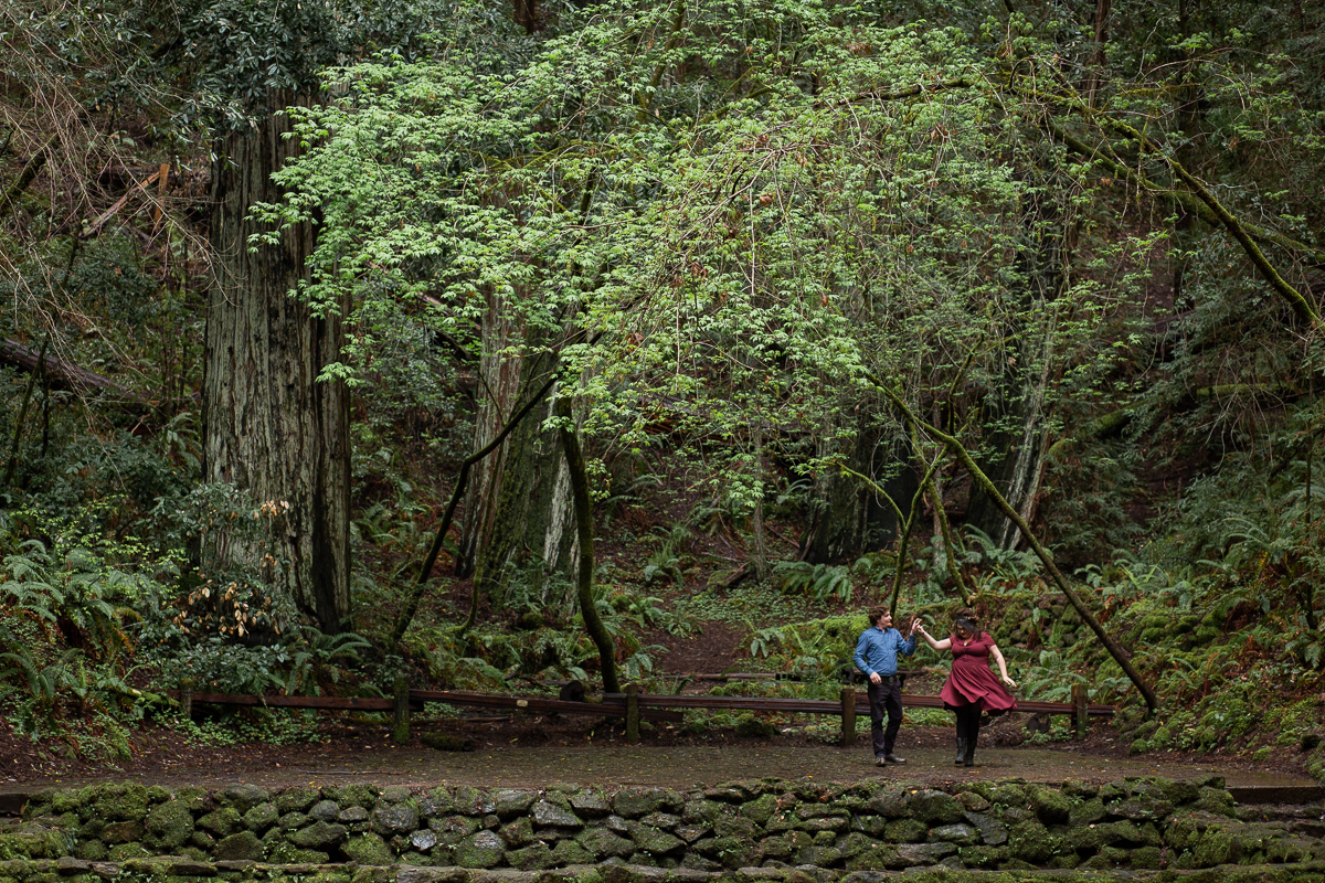 Armstrong Woods Engagement Photos Guerneville-16.jpg