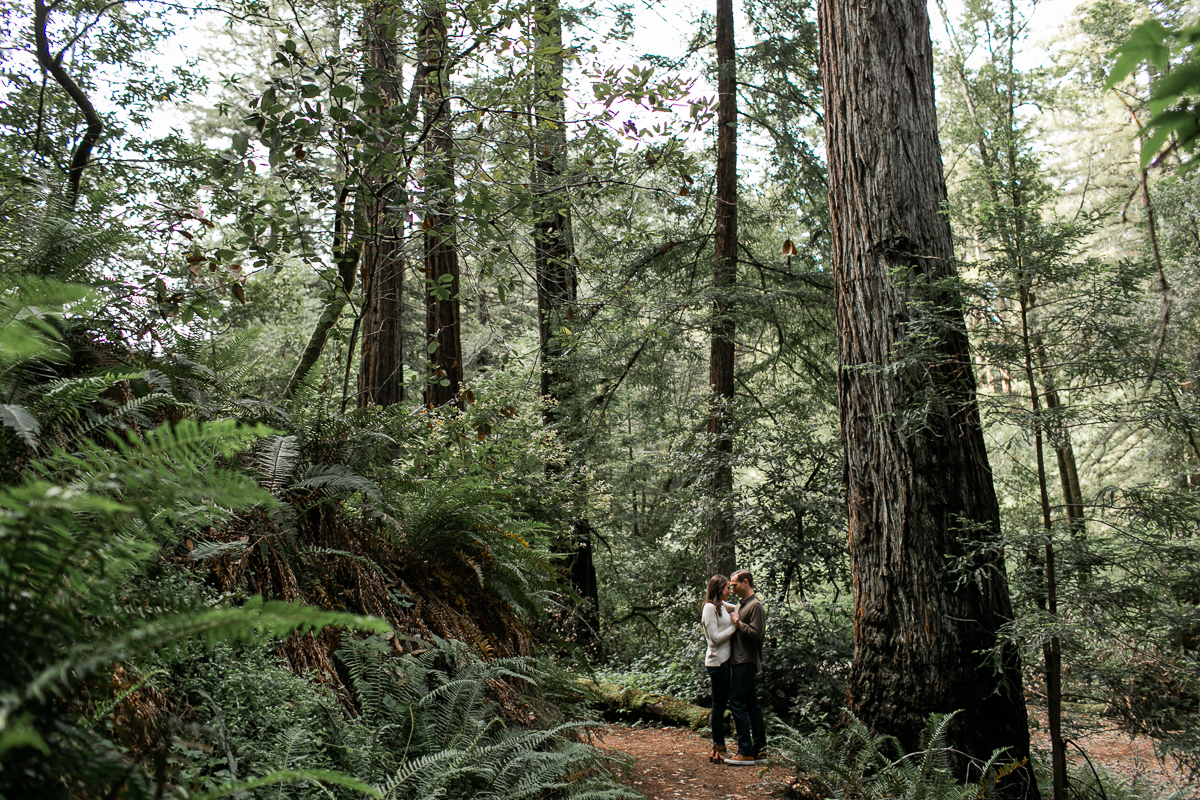 point reyes engagement session