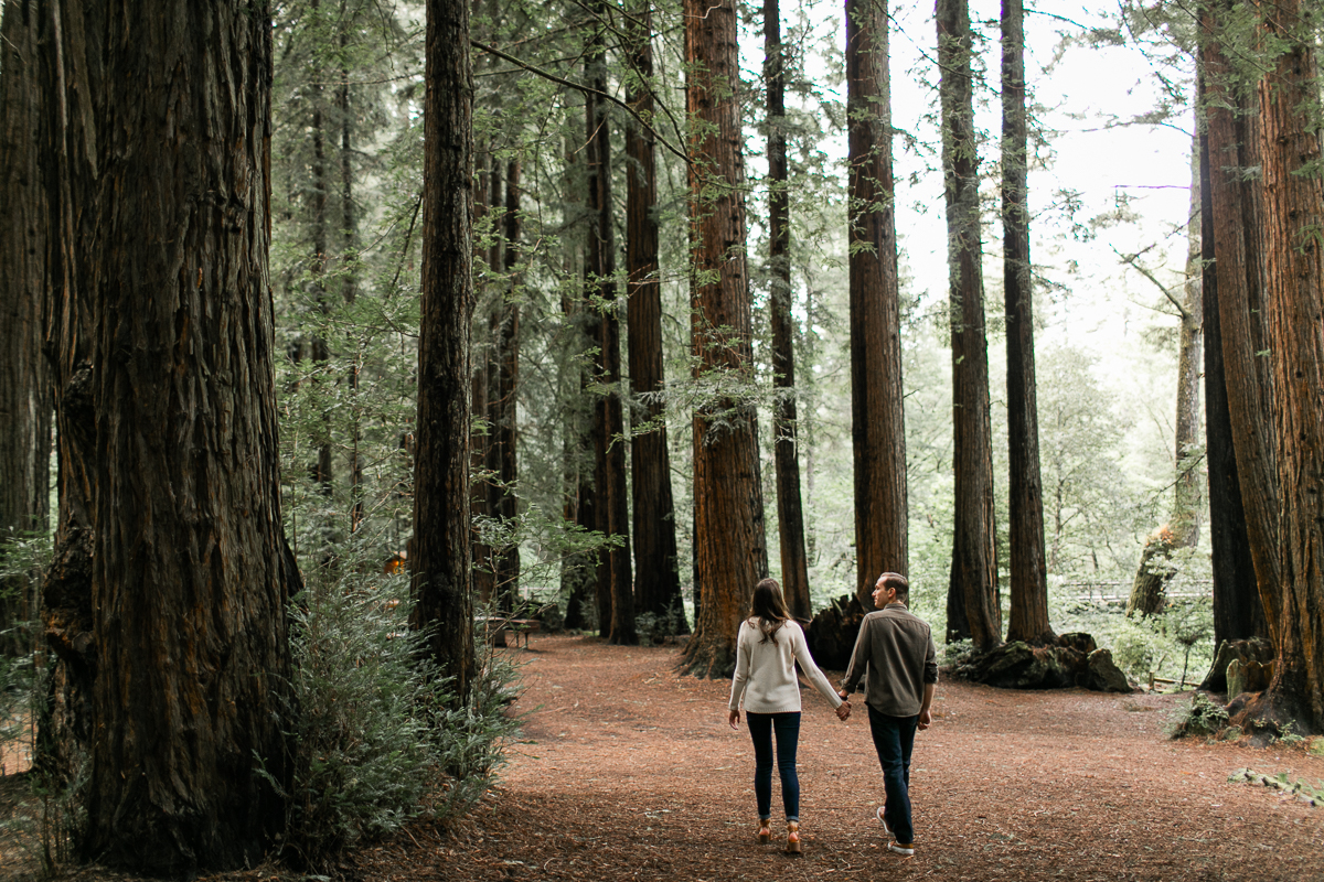 point reyes engagement session