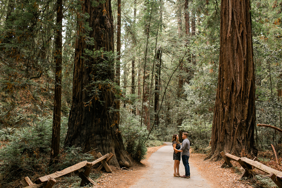 Armstrong Woods Engagement Session-1.jpg