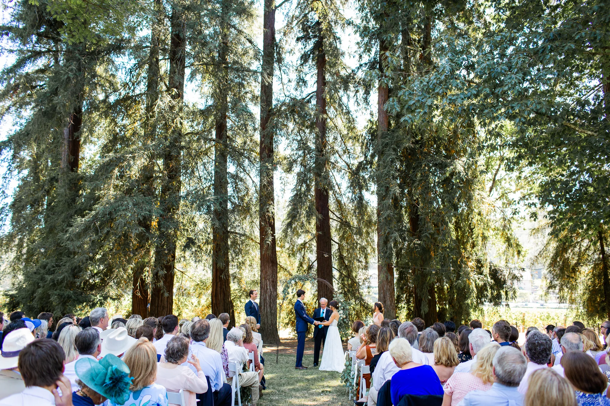 napa wedding at charles krug winery