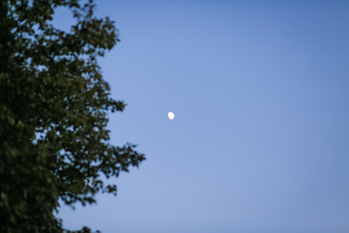 st. helena wedding at harvest inn