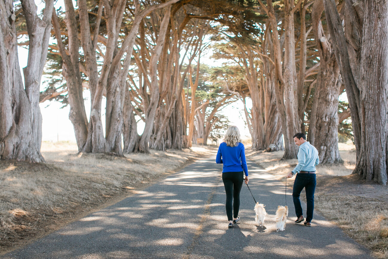 pt. reyes engagement session