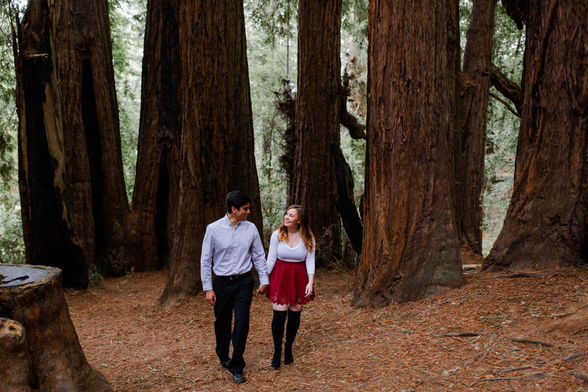 henry cowell engagement session