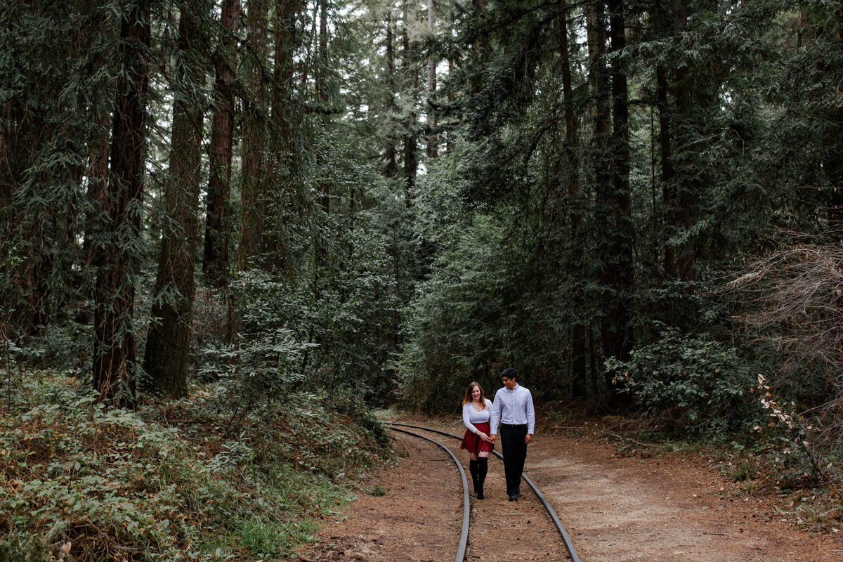 henry cowell engagement session