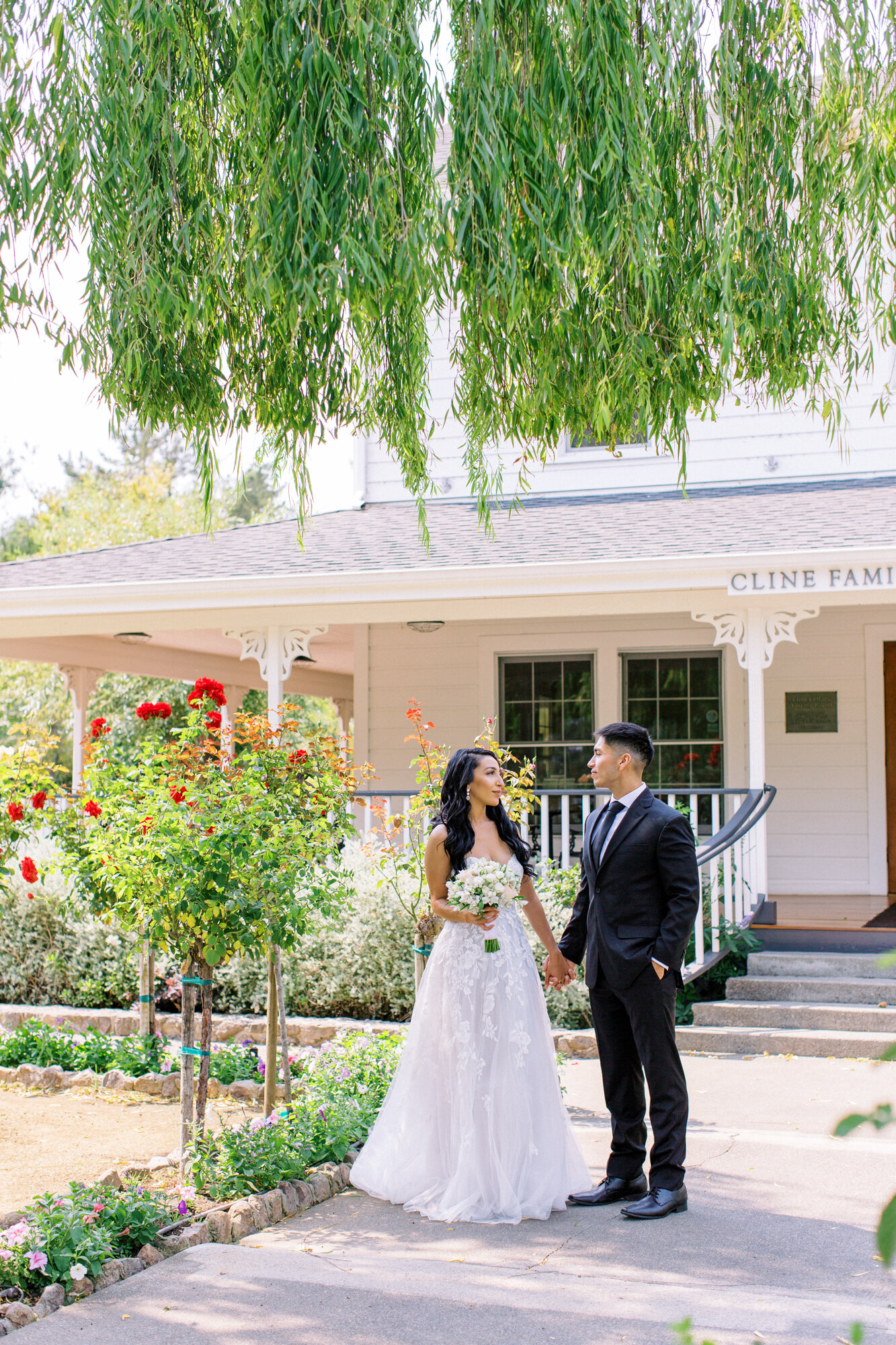 Cline Winery Elopement in Sonoma-29.jpg