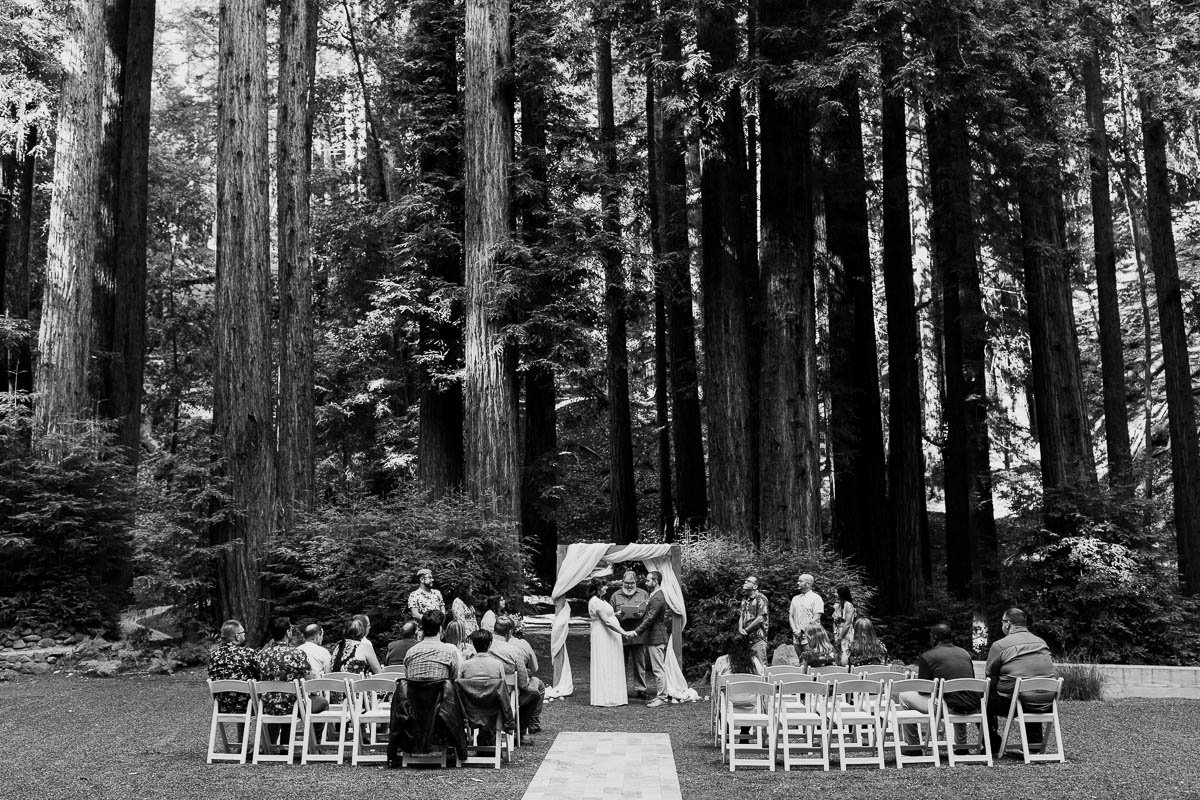 waterfall lodge wedding