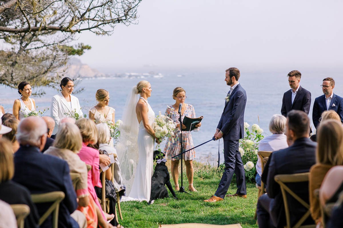 Elegant Timber Cove Wedding-31.jpg