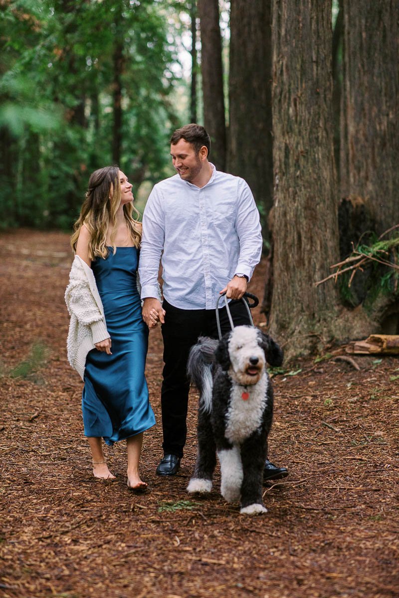 Engagement session in redwood forest and sonoma coast-9.jpg