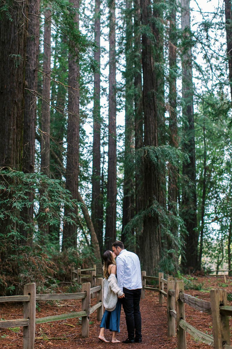 Engagement session in redwood forest and sonoma coast-13.jpg