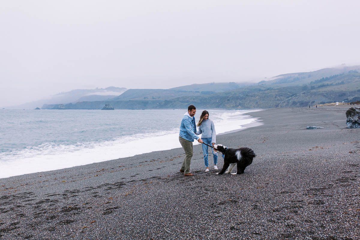 Engagement session in redwood forest and sonoma coast-27.jpg