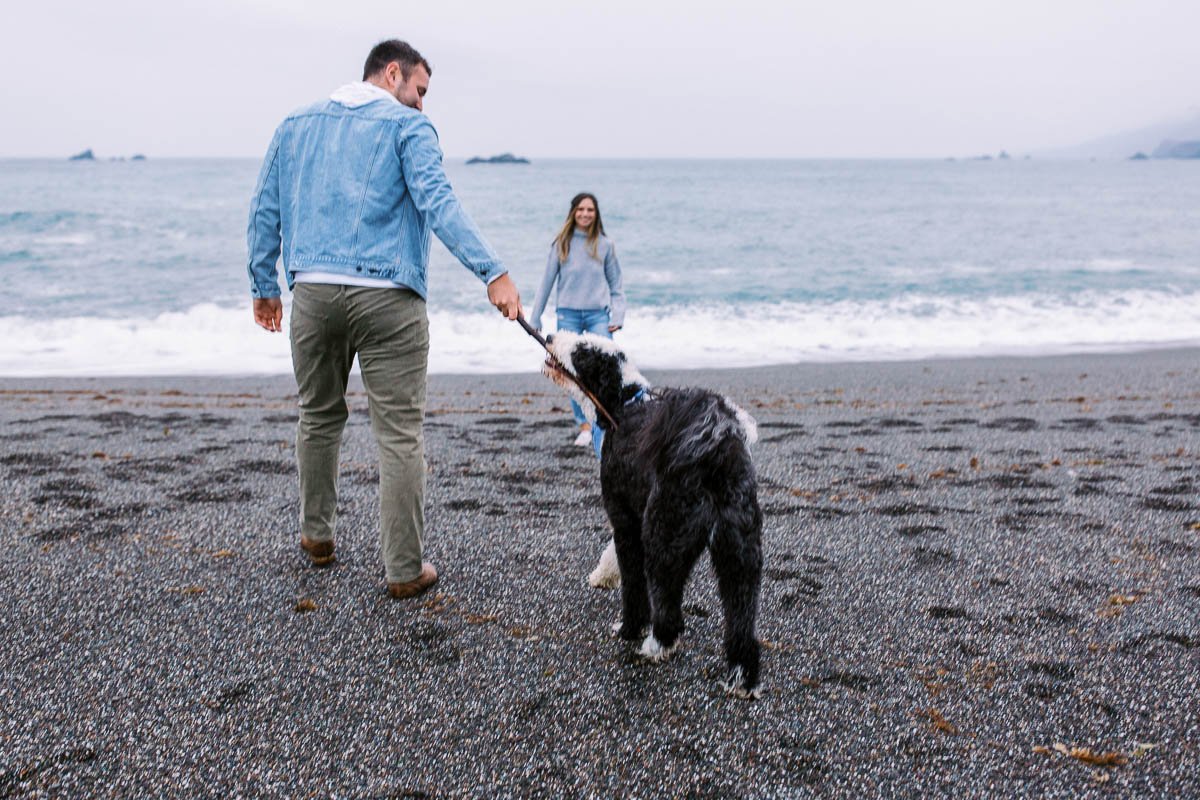 Engagement session in redwood forest and sonoma coast-30.jpg