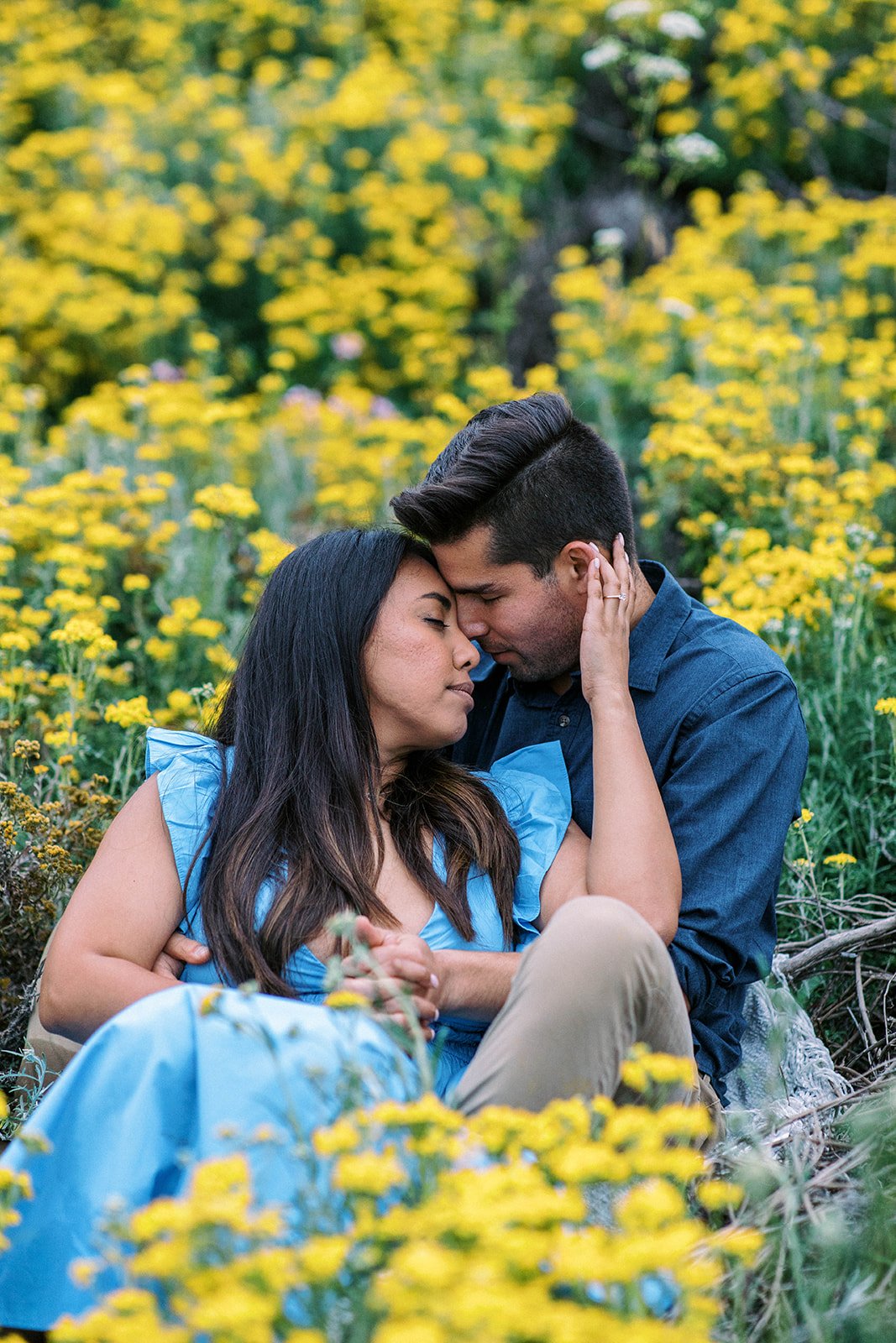 carmel by the sea proposal