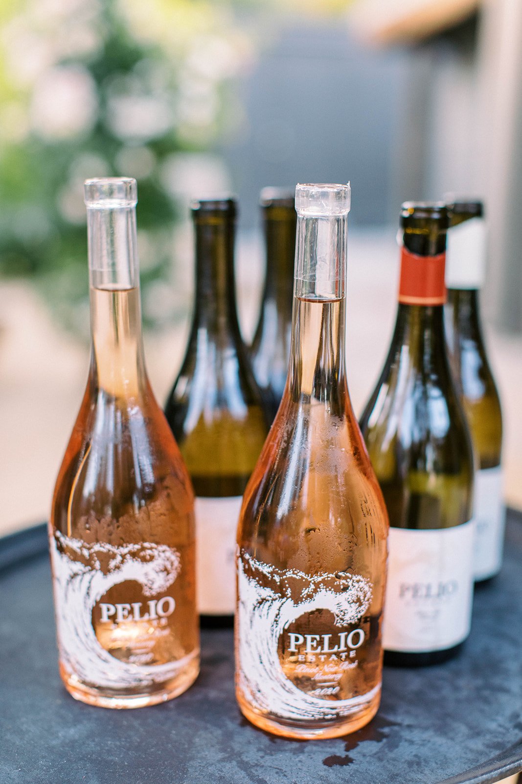 welcome dinner at pelio wines