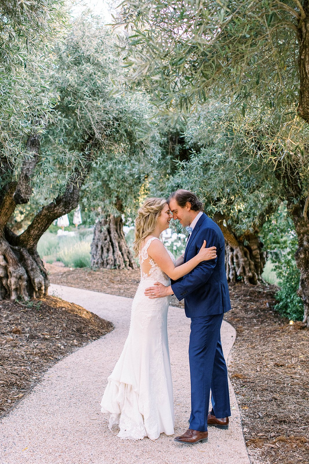bride and groom in olive trees rus farm