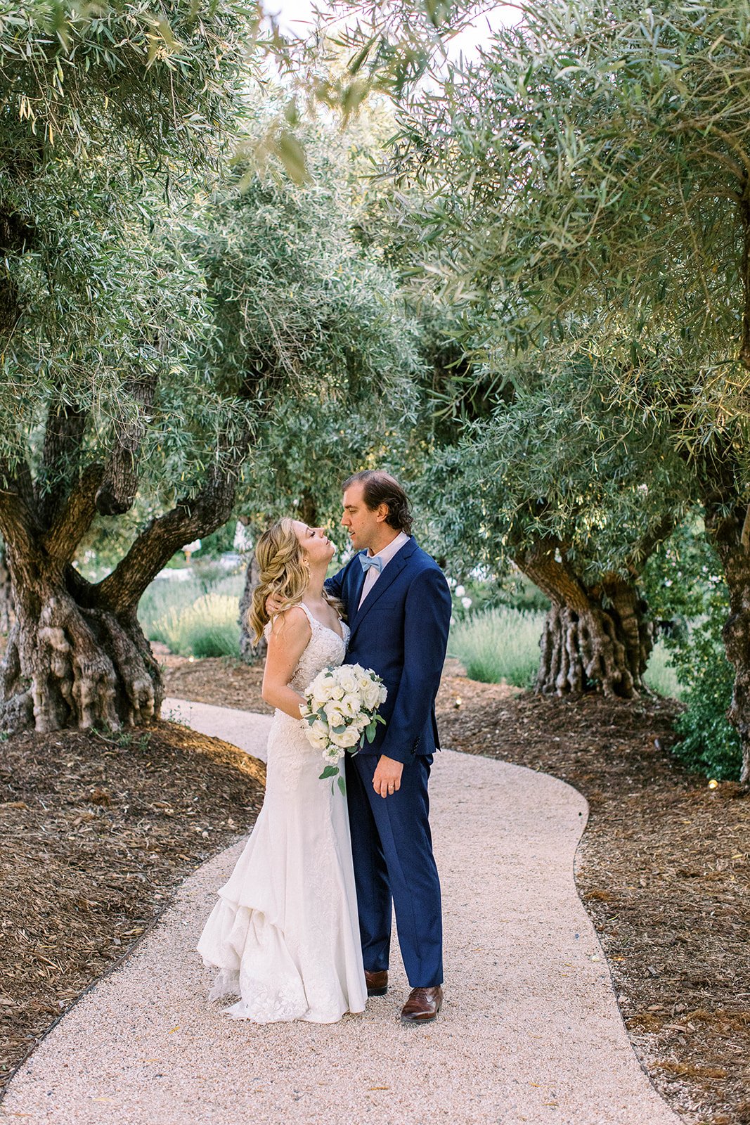 bride and groom kiss in olive trees at rus farm
