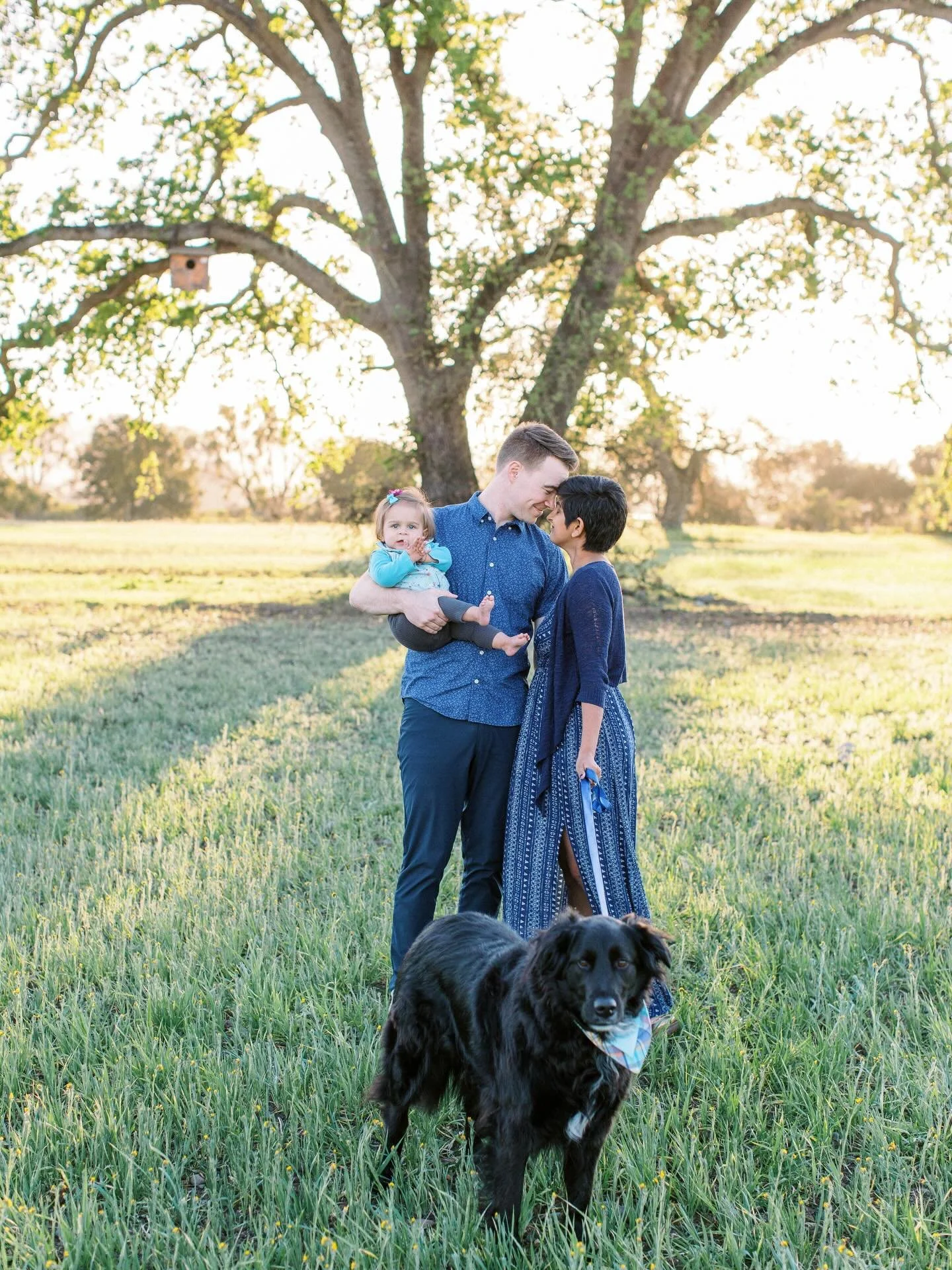 Spring Family Sessions are here! This year I am offering a shorter family session experience on March 14, 2026 in Gilroy, CA for only $425.

The setting is a beautiful, private hay field with oak trees. Being a blanket!

This 20 minute session is per