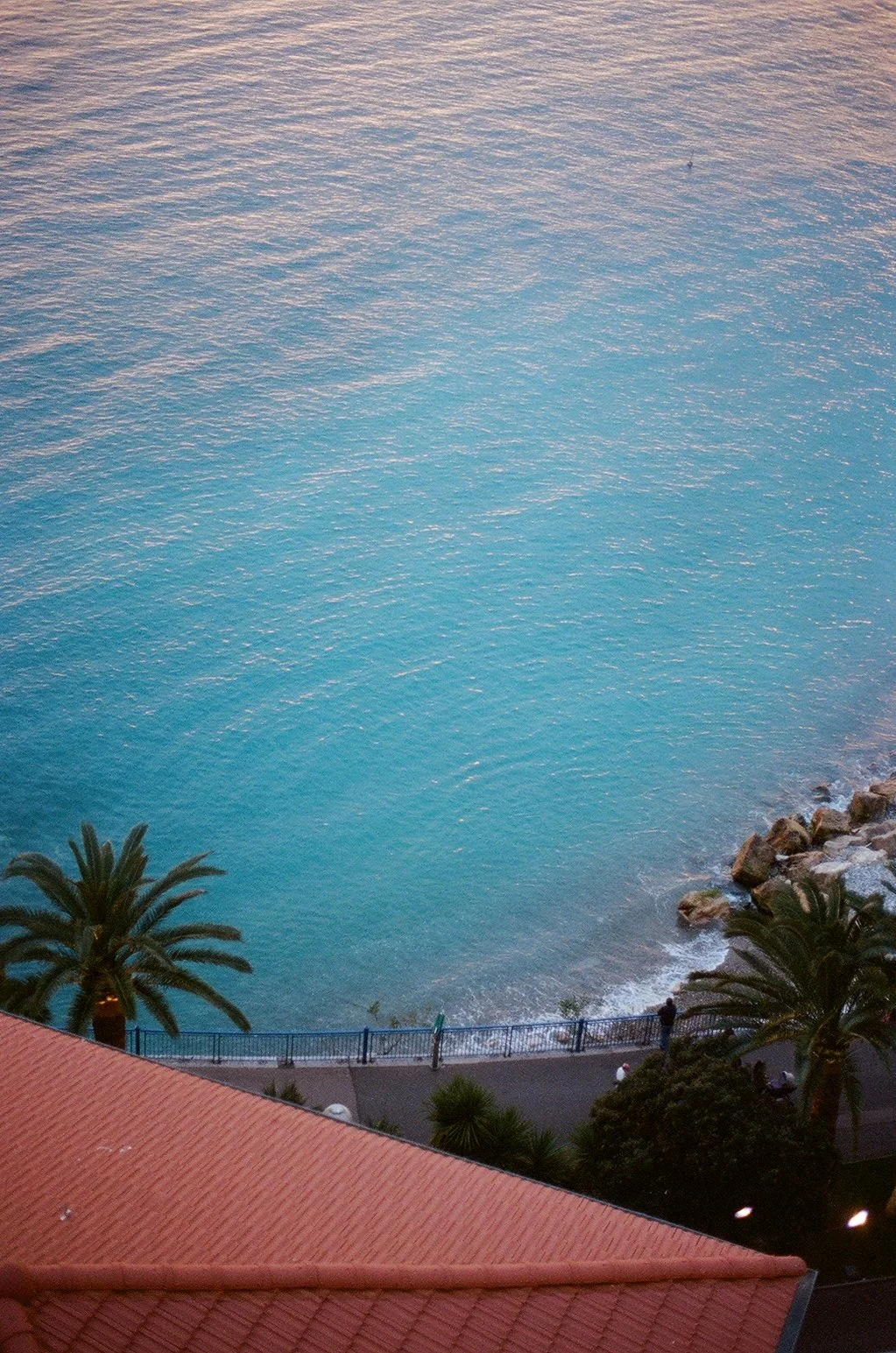 View of a coastal scene with the ocean, palm trees, and a pathway along the shore, taken from a high vantage point during sunset.