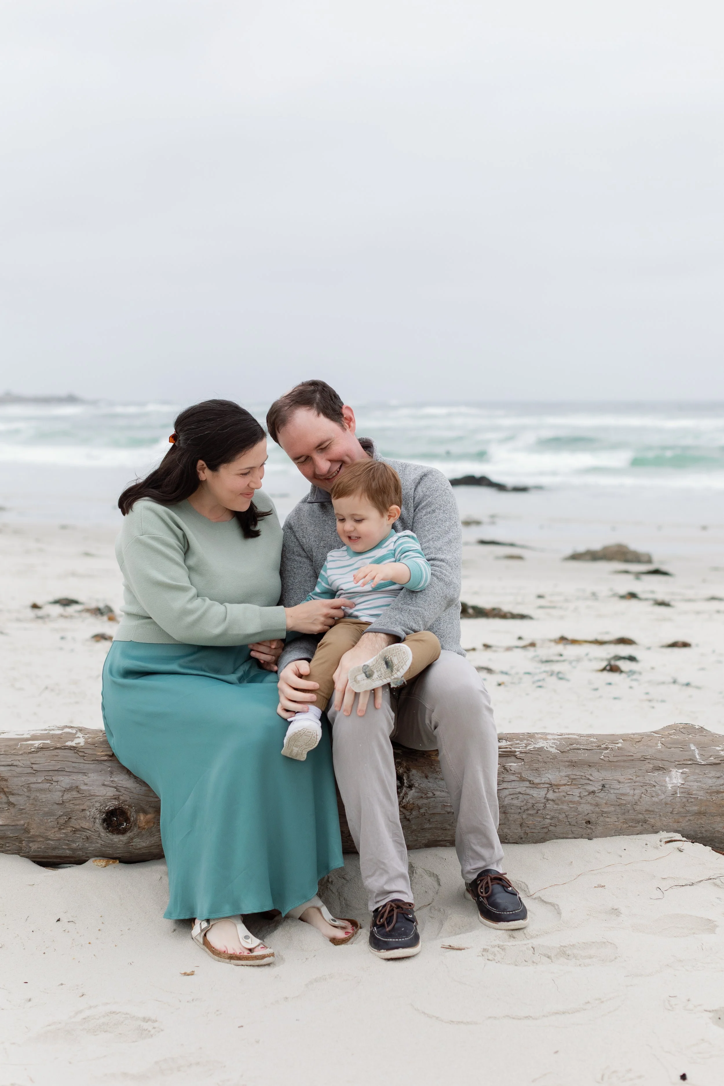 Family sitting on a log at the beach, smiling and looking at a phone together.