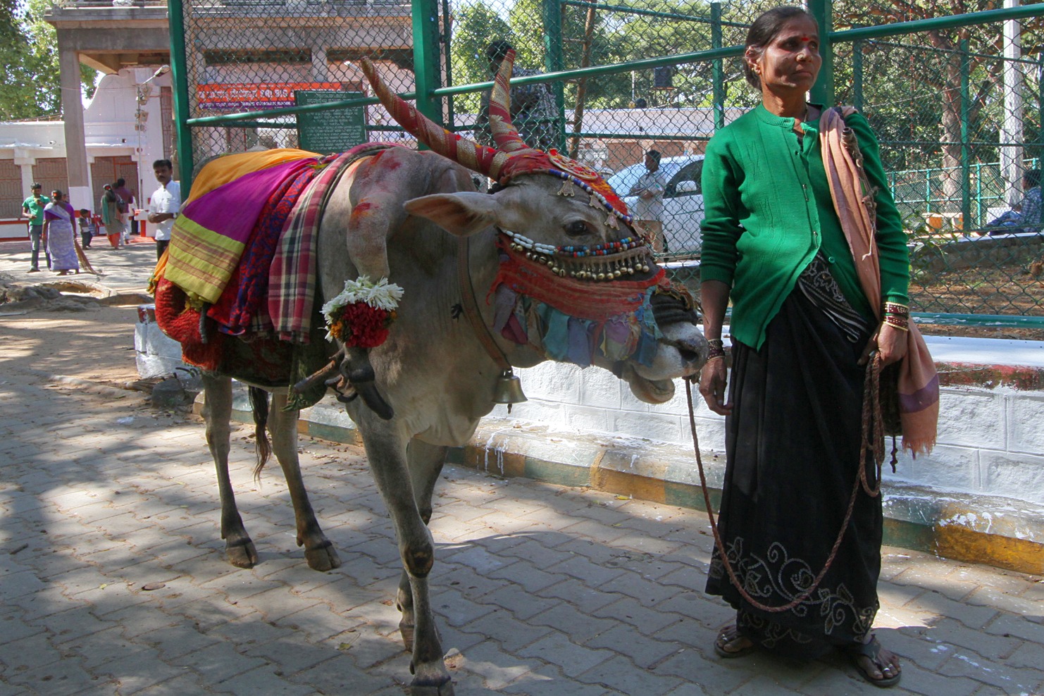 Visit to Bull Temple, Bangalore