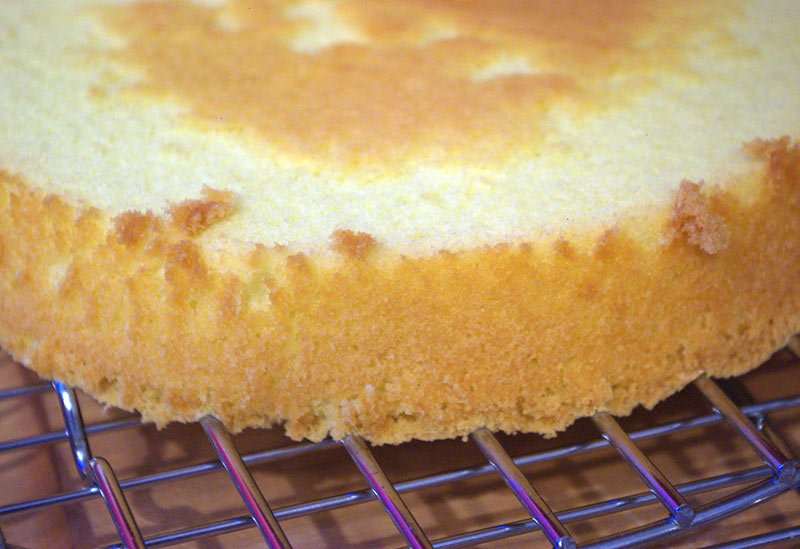 A close up of the Genoise cake