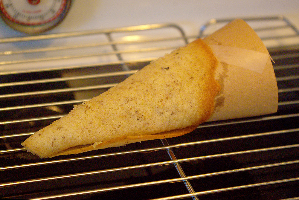 A newly-formed cornucopia on the paper horn