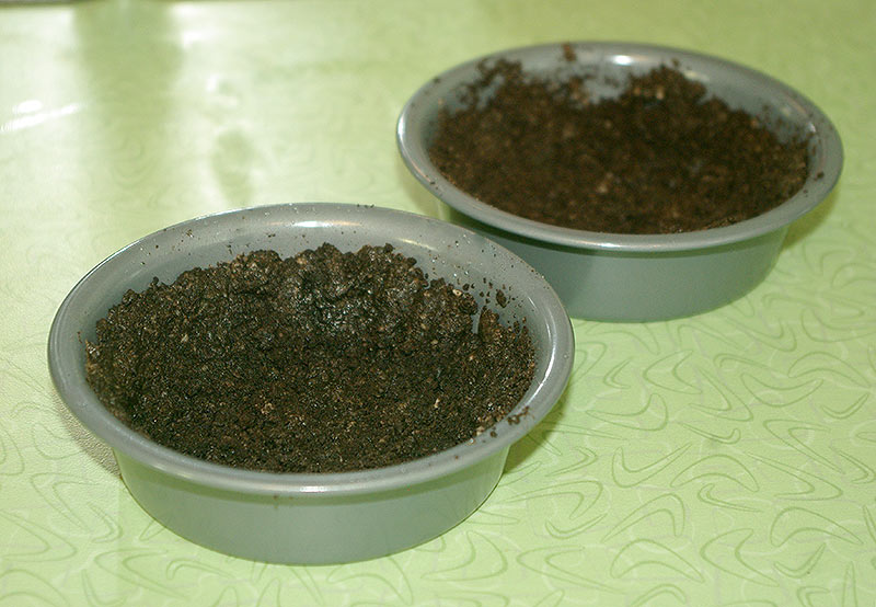 Oreo crust shells