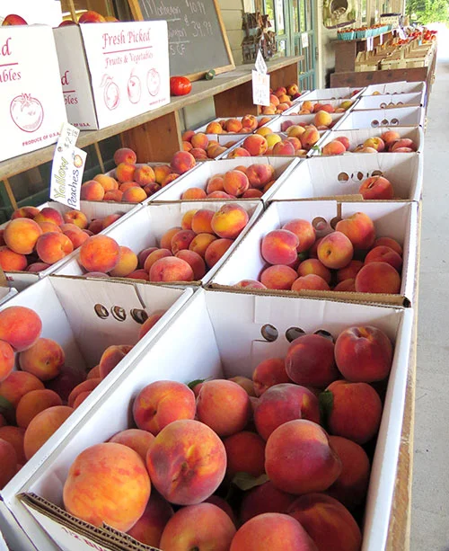 Fresh-picked peaches at the Lull Farm Stand in Milford, NH.