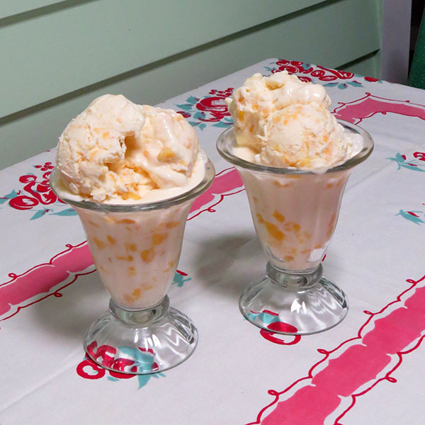 Dishes of delicious peach ice cream