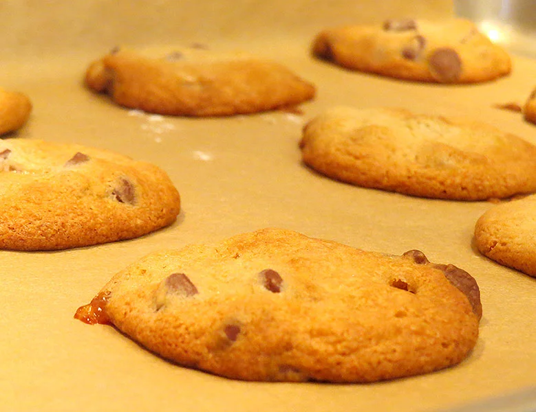 cookie-closeup2.jpg