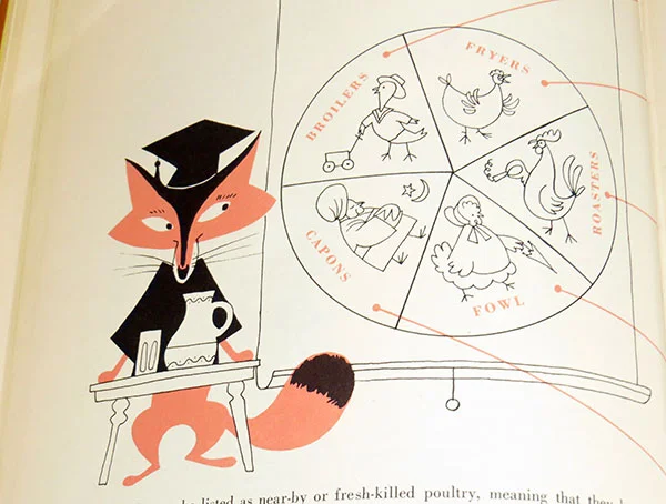 Fabulous spot illustration