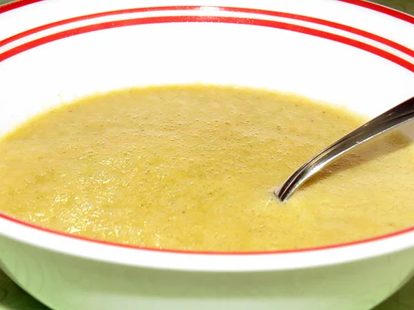 Pumpkin soup after it had been through a blender