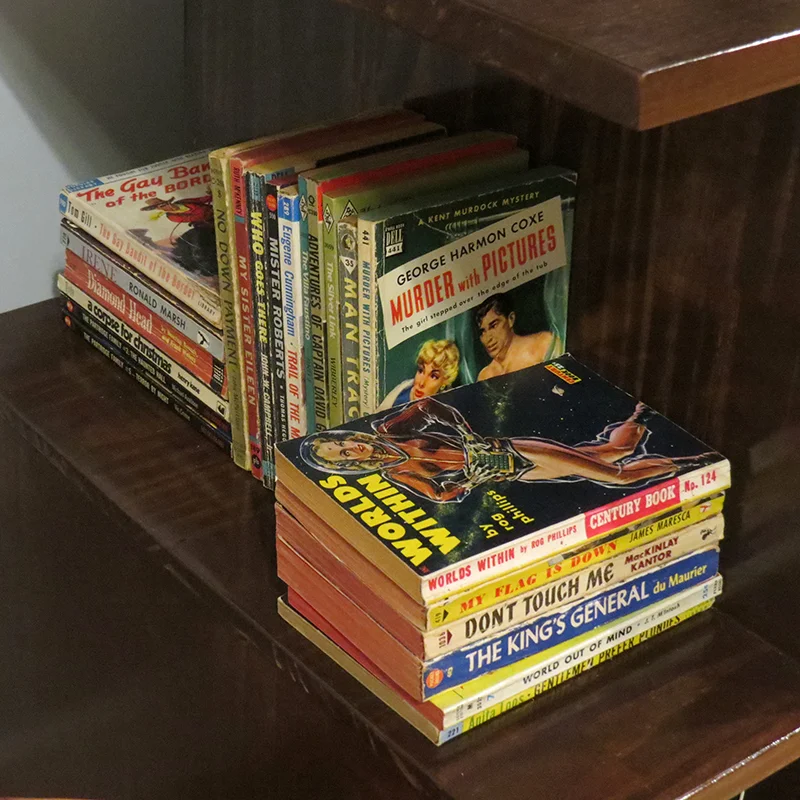 One of the outer shelves with some of the vintage paperbacks