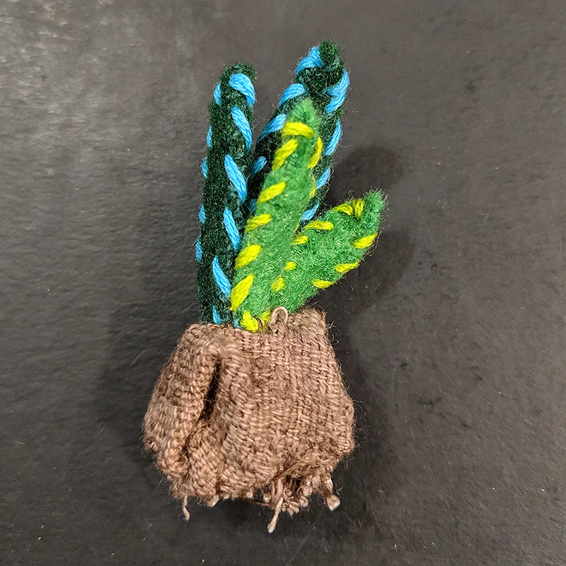 A plant ready for the pot