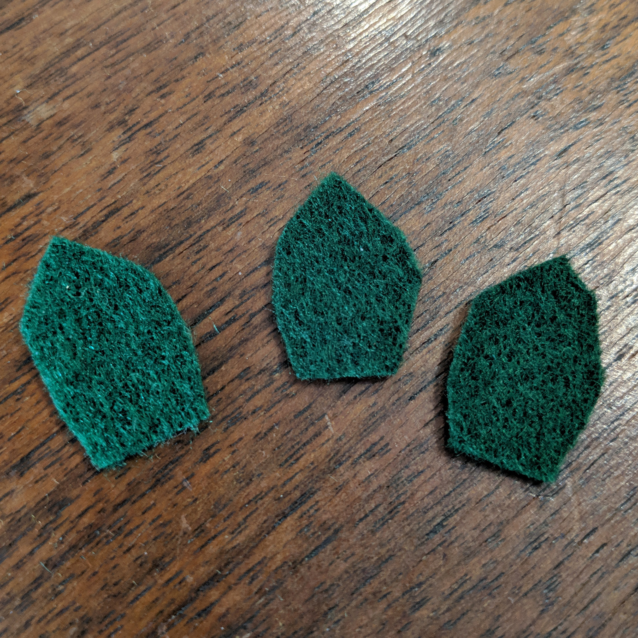 cactus2-step1.jpg