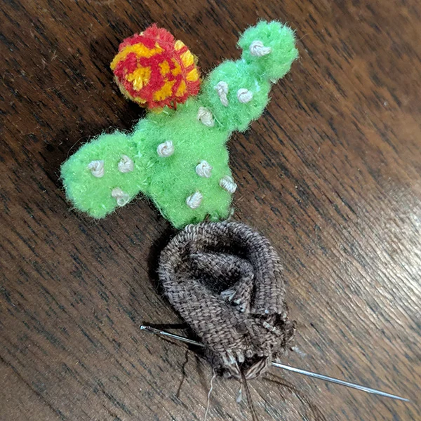 cactus1-dirt2.jpg
