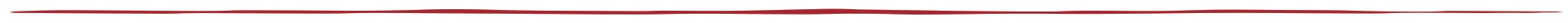divider line2 copy.jpg