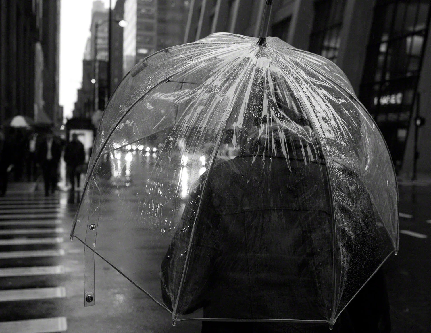 P1080226_0299 copy.jpg