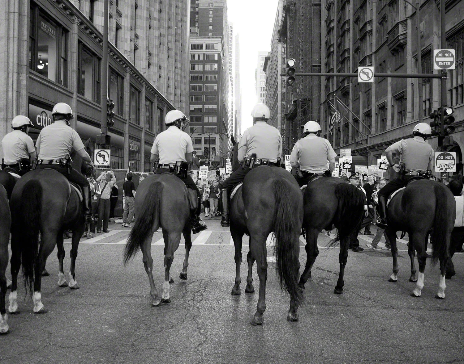 P1050787_7106 copy.jpg