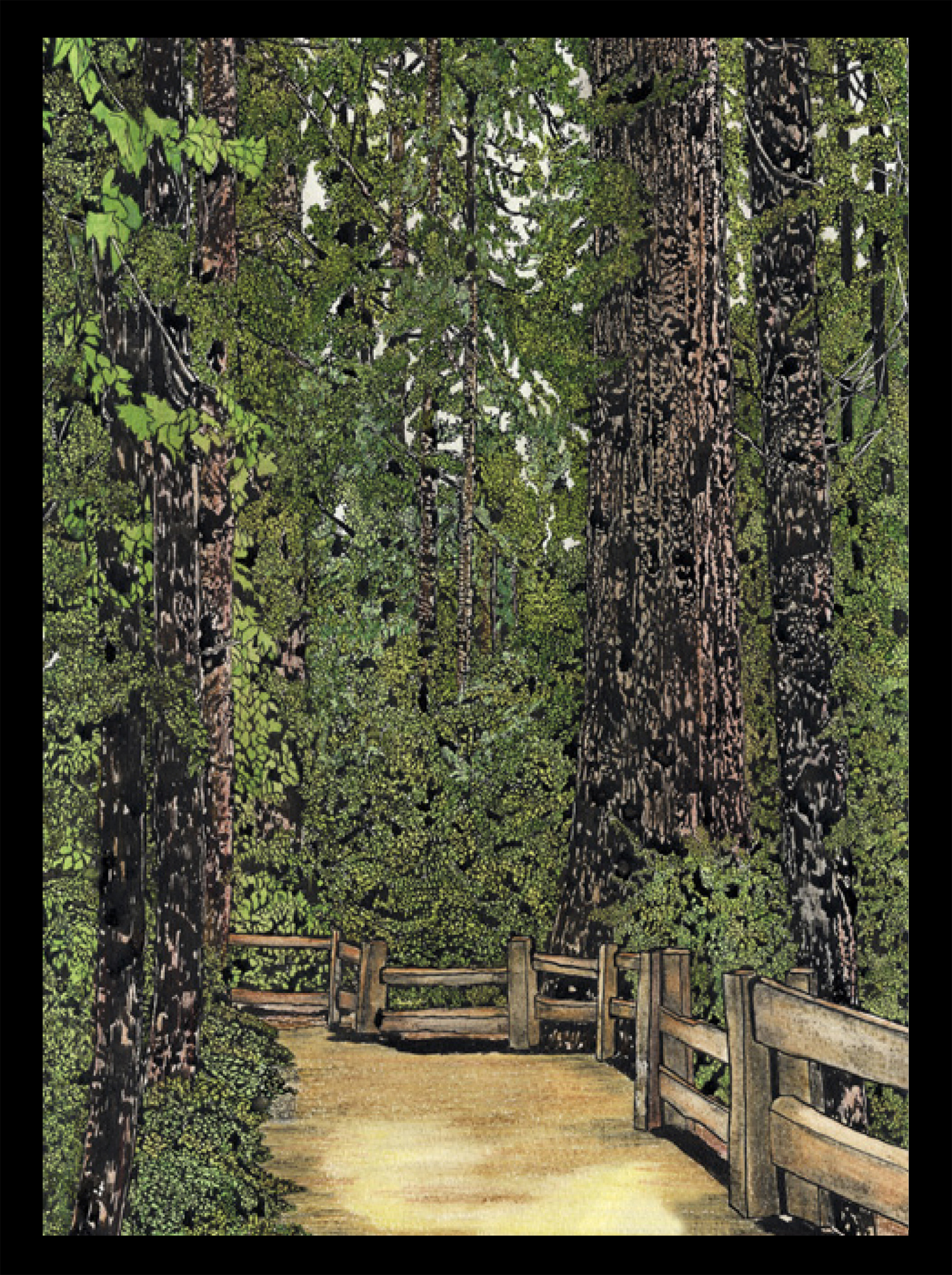 WOODLAND WALKWAYS