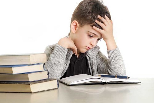 Increasing nerve communication in the brain can improve learning