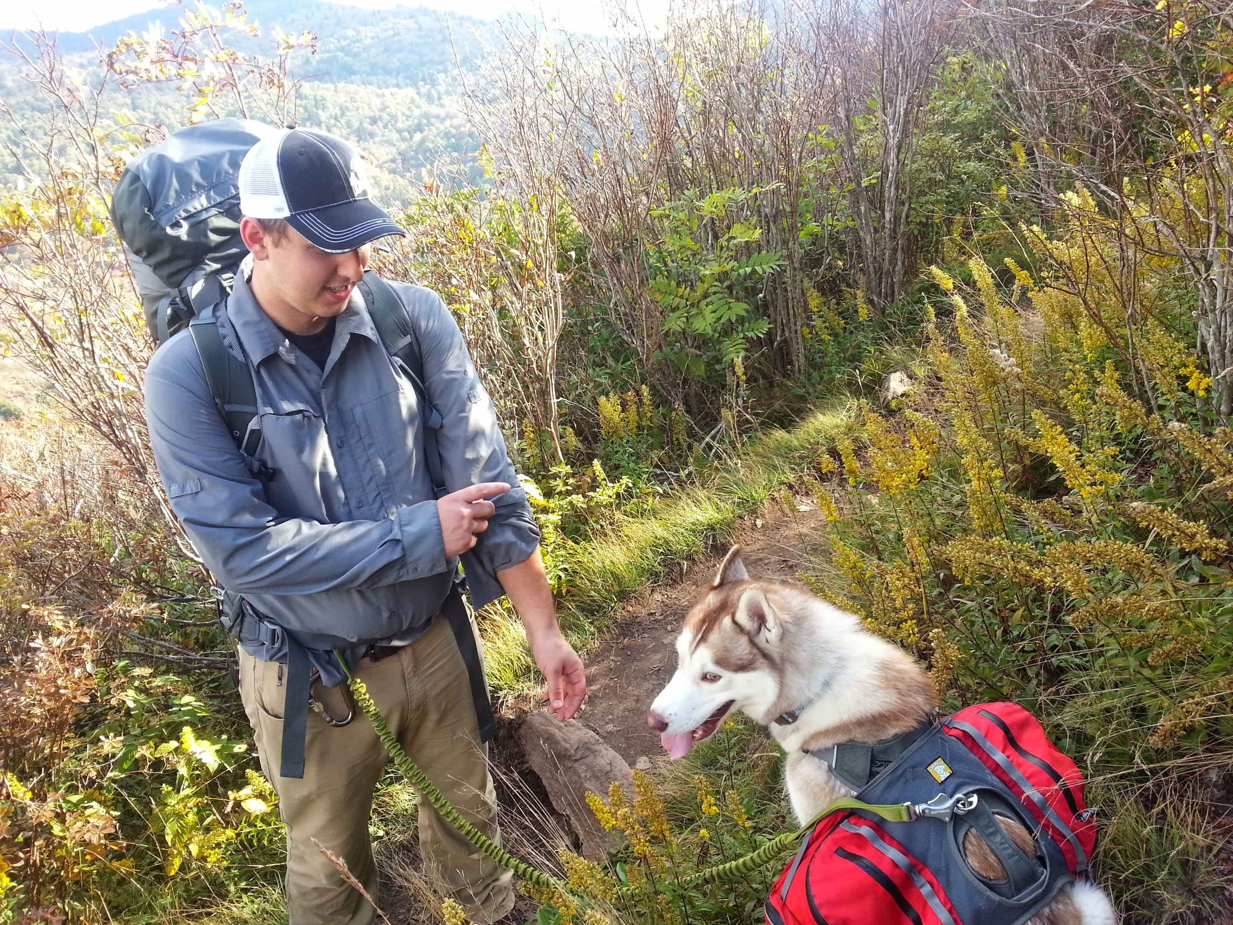 Ryder took a moment in the goldenrod