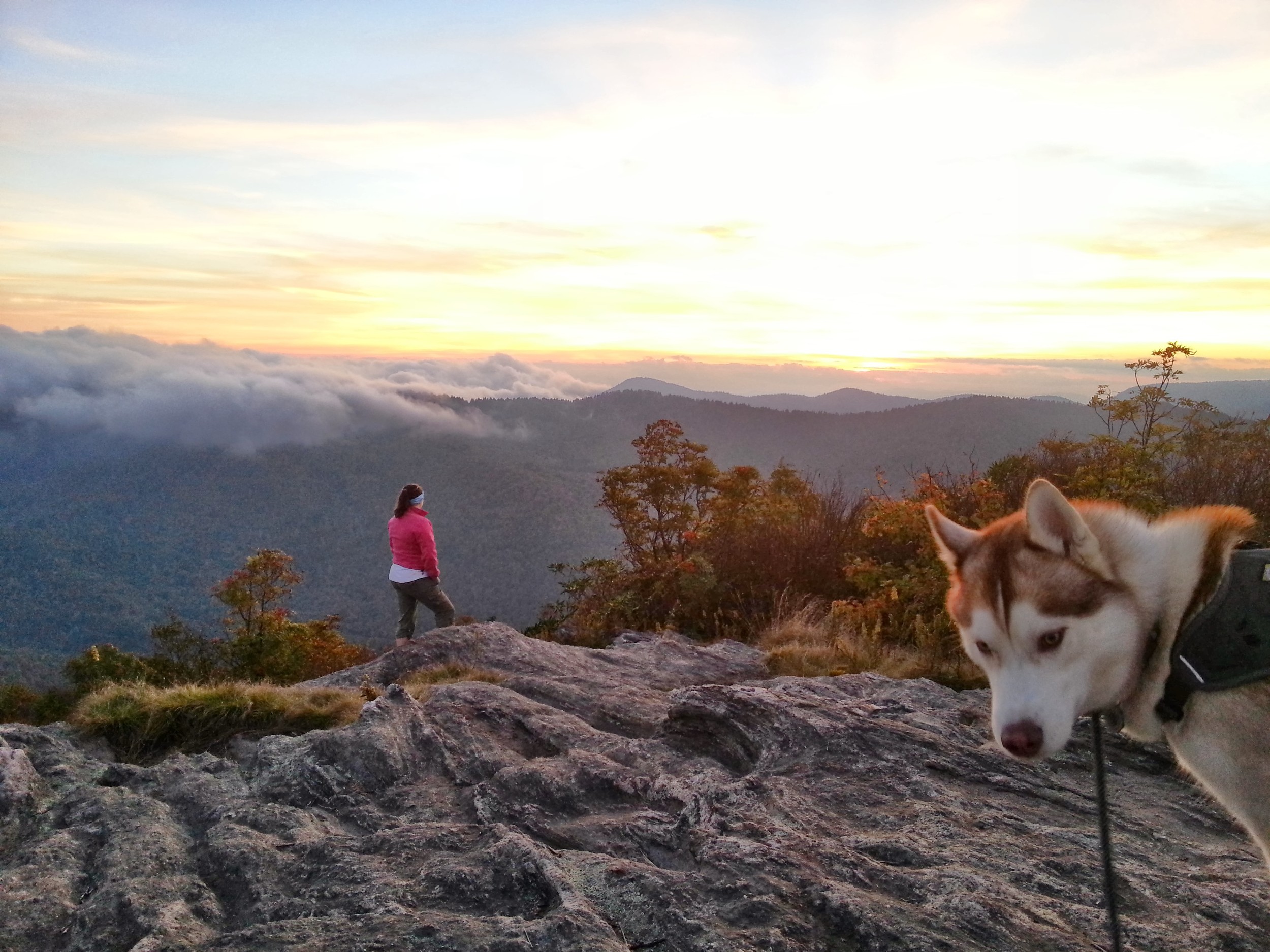 But he was not pleased when I went off to check out the view on my own (ultimate photobomb dog)