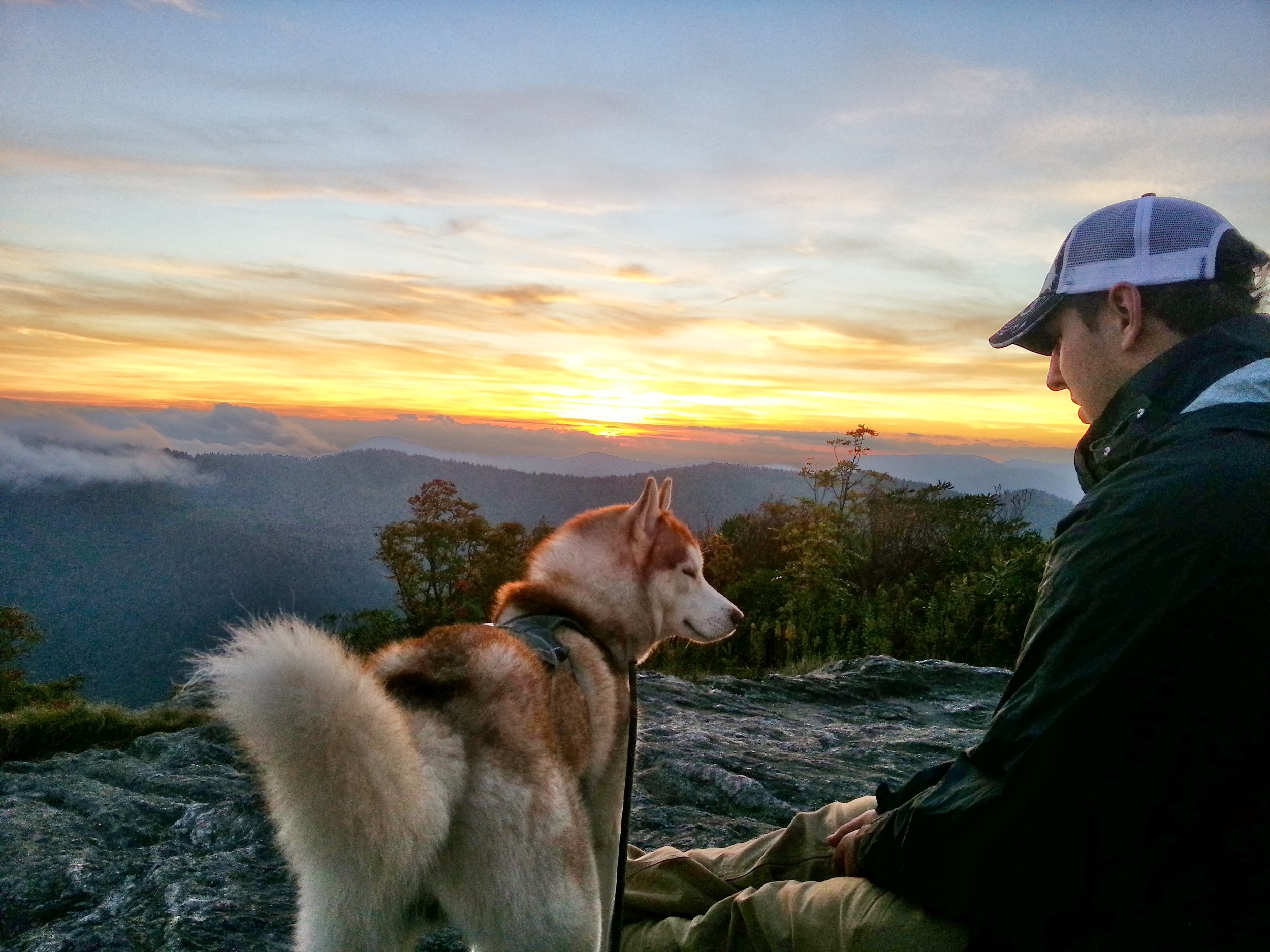 On our ledge