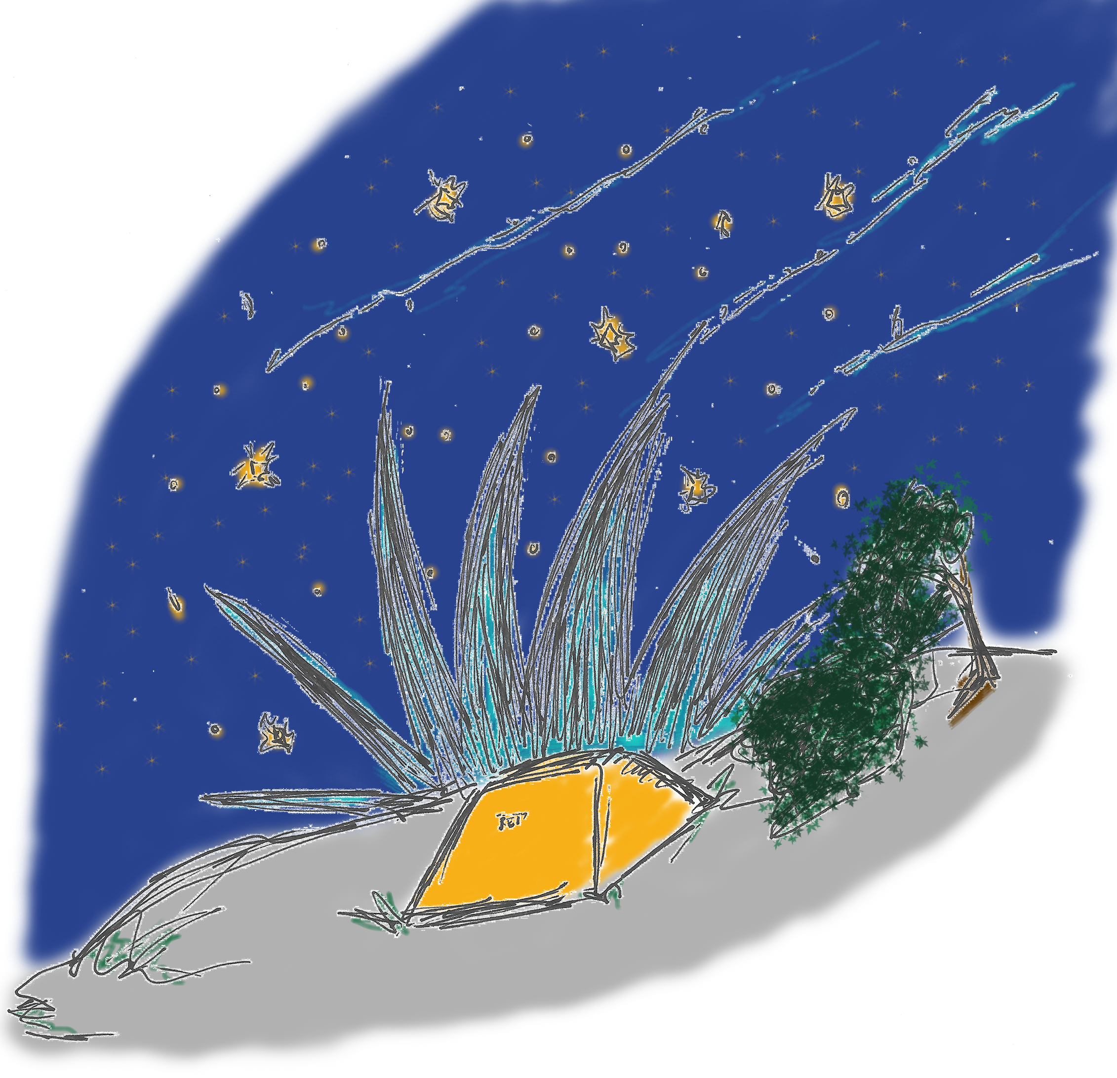 The campsite