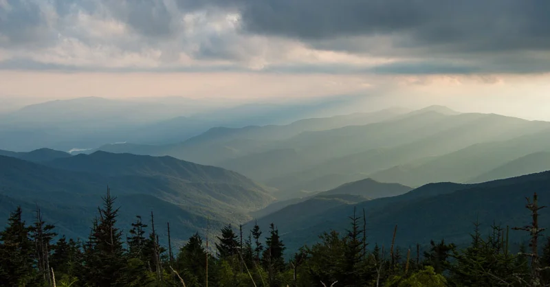 An Unpleasant Walk in the Woods