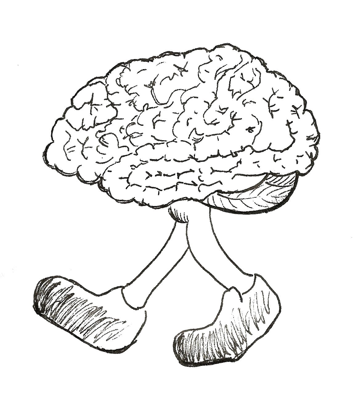 Exercise for your brain (an E. K. Goodman drawing)