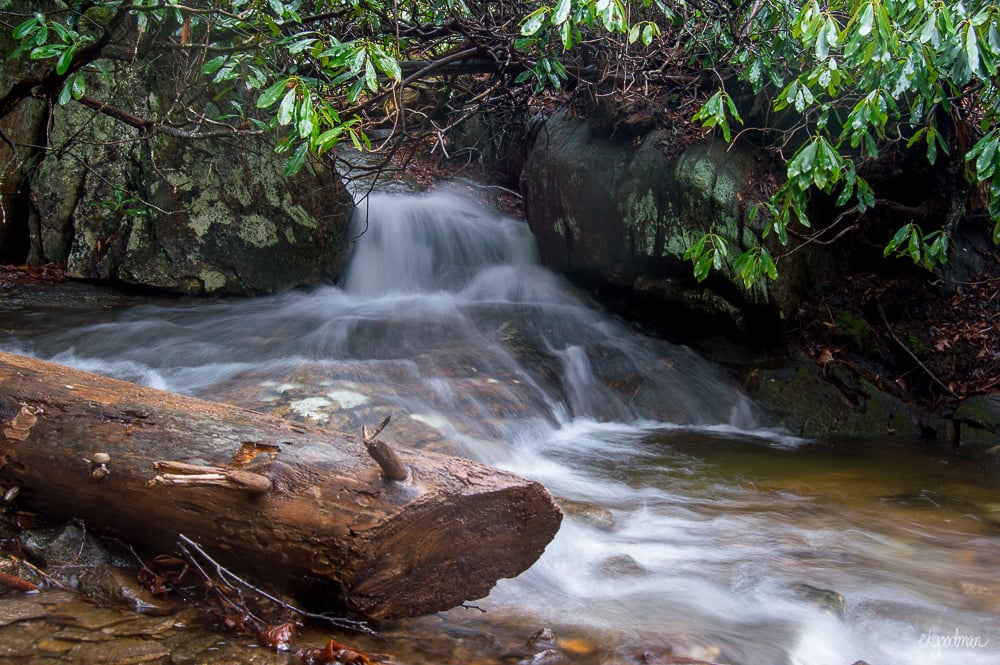 This actually was a stream that the trail crossed, not the trail. But the trail looked a lot like this for most of the day!